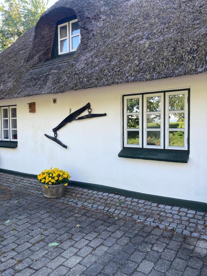 Skovlyset'S B&B 尤尔斯明讷 外观 照片
